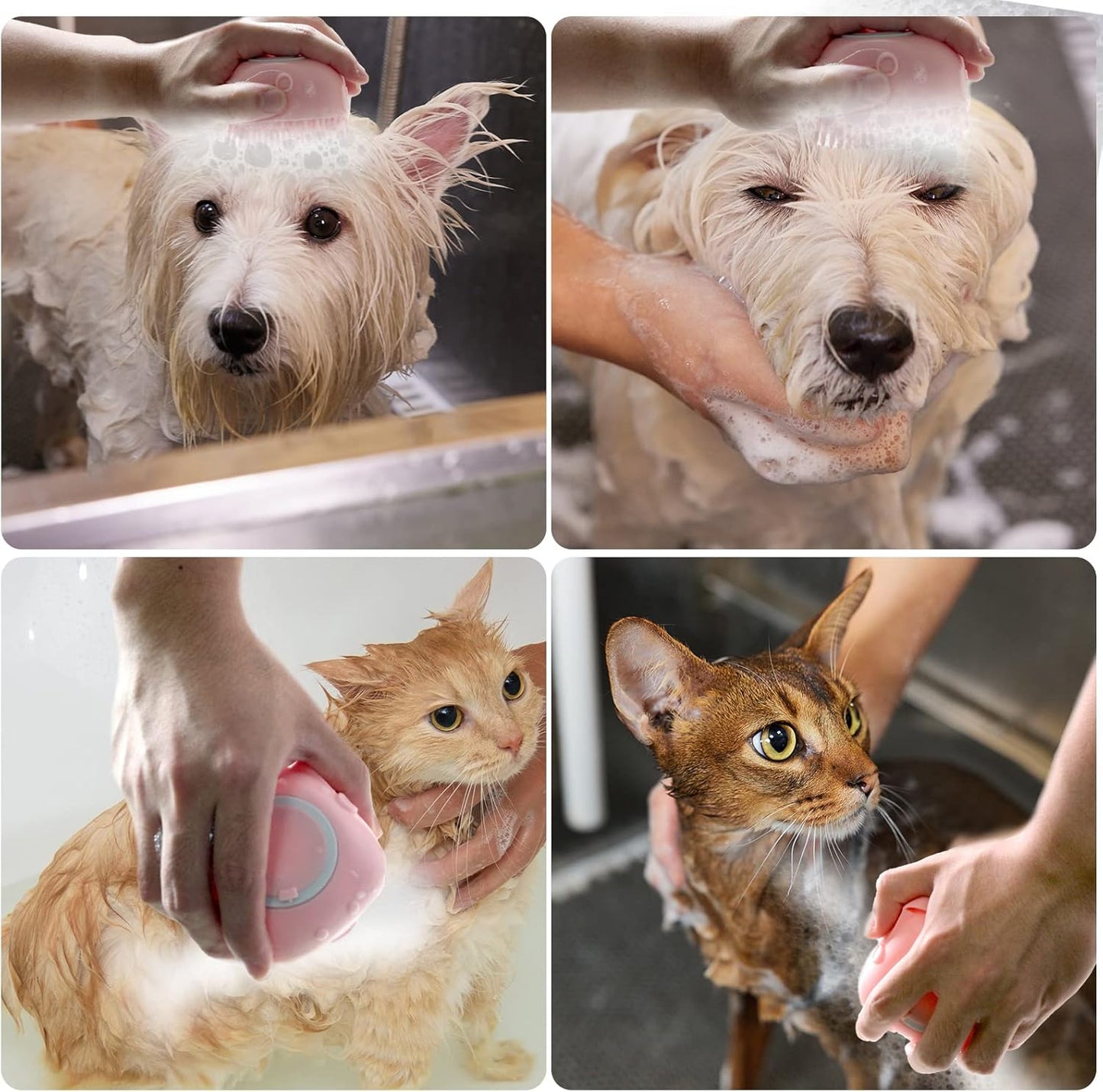 Dog Bathing Brush, Pet Massage Brush Shampoo Dispenser, Soft Silicone Brushes Rubber Bristle for Dogs and Cats Shower Grooming (Pink)