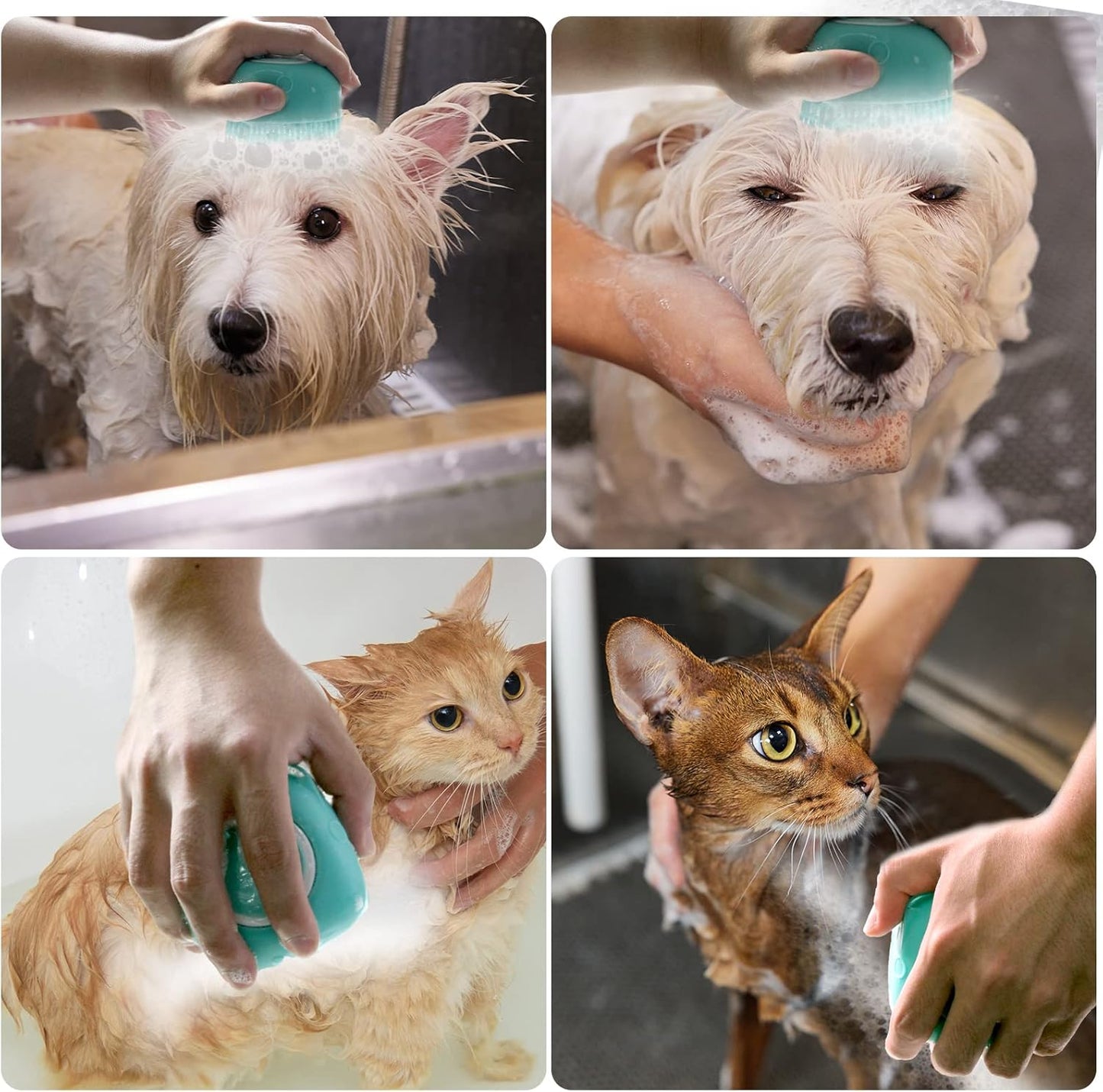 Dog Bathing Brush, Pet Massage Brush Shampoo Dispenser, Soft Silicone Brushes Rubber Bristle for Dogs and Cats Shower Grooming (Pink)