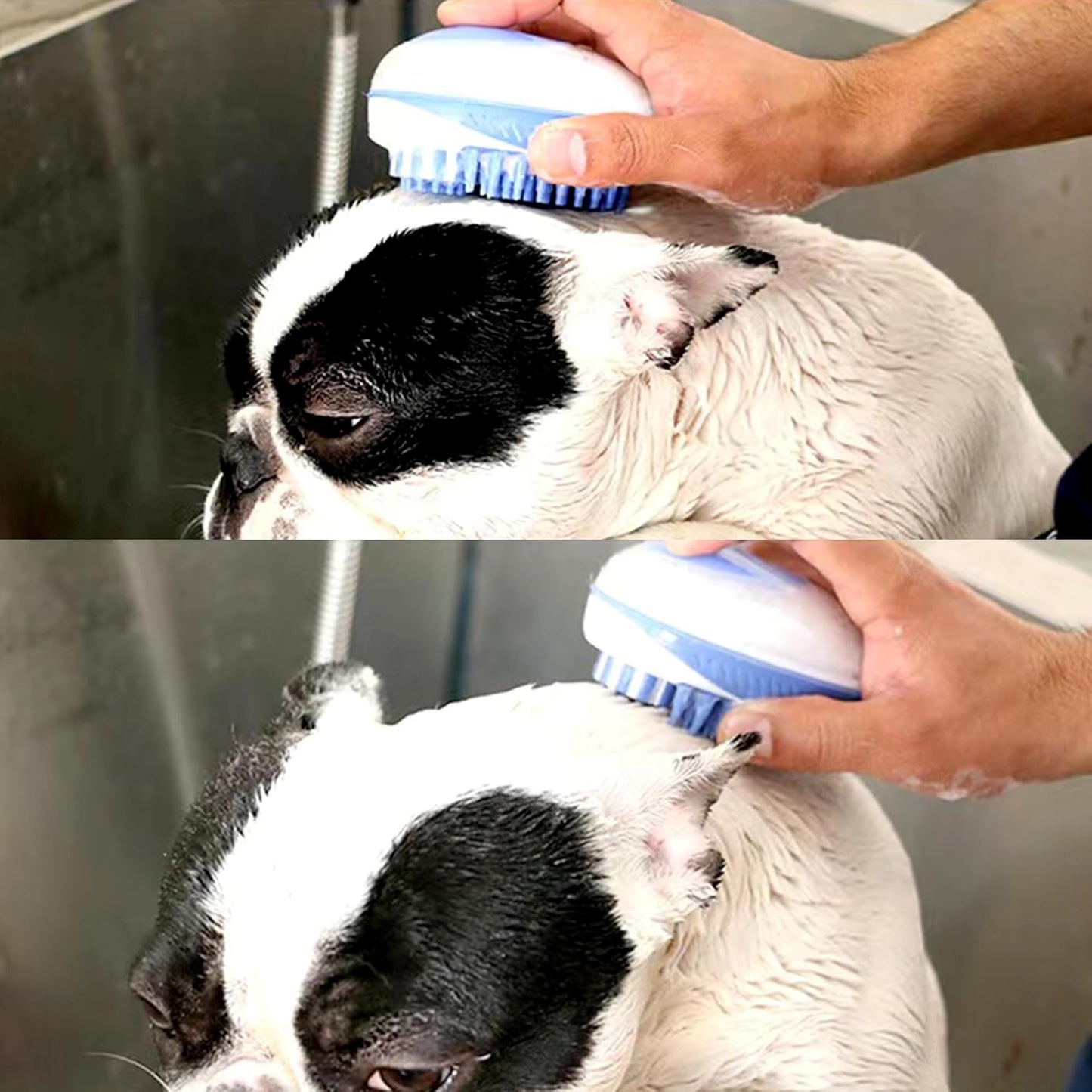 Dog Bathing Brush, Pet Massage Brush Shampoo Dispenser, Soft Silicone Brushes Rubber Bristle for Dogs and Cats Shower Grooming (Pink)