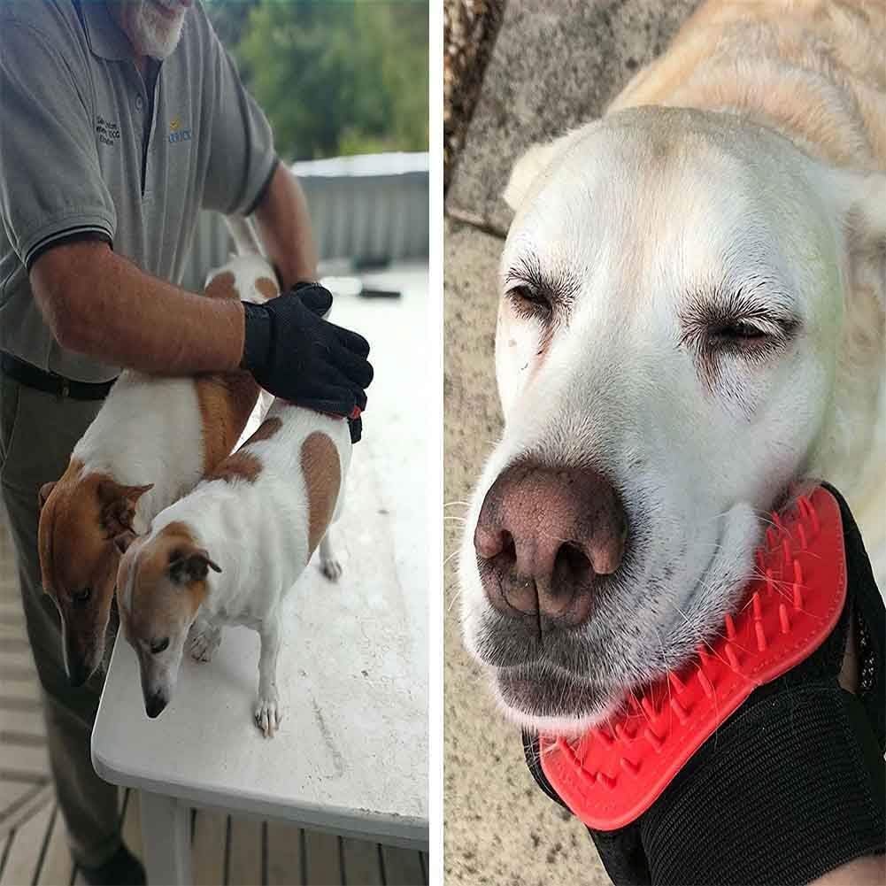 Pet Grooming Glove for Dogs & Cats – Deshedding & Massage Tool